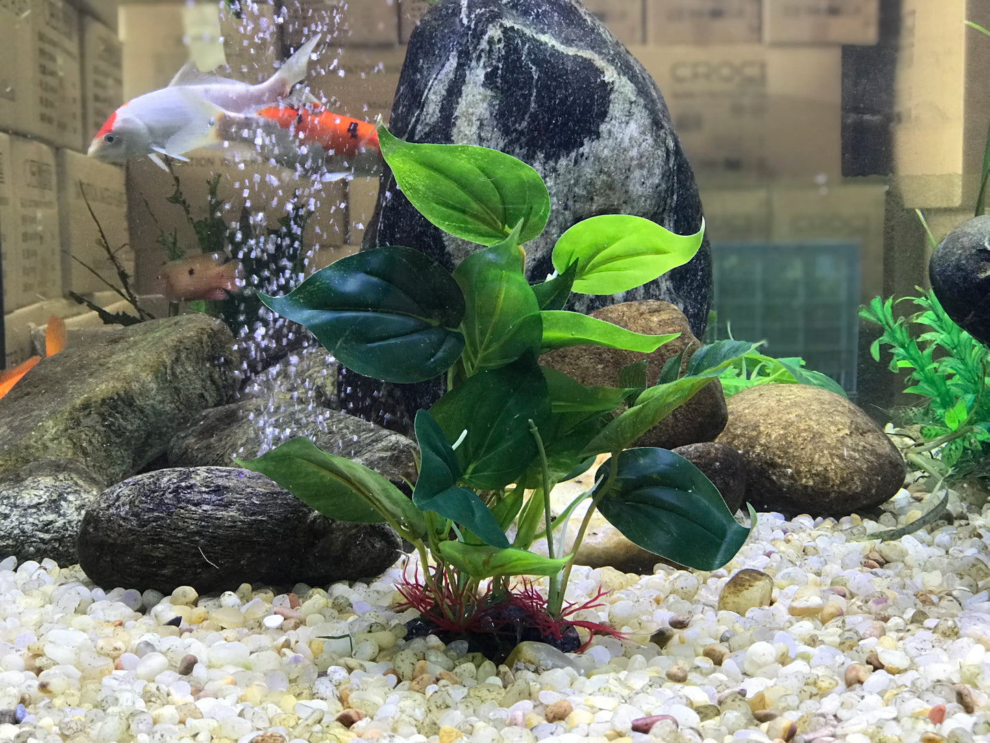 Plantes artificielles décoratives pour aquarium Plantes aquatiques décoratives pour aquarium